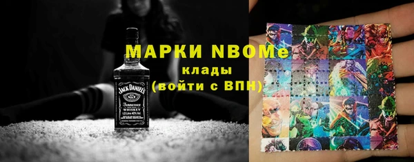 шишки Карпинск