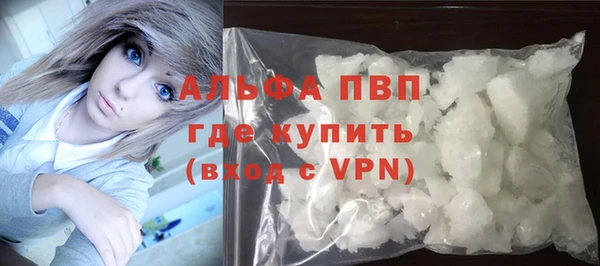 шишки Карпинск