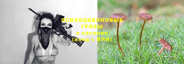 шишки Карпинск