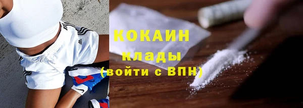 гидра Карталы