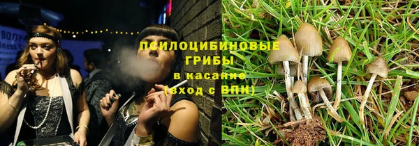 спиды Касимов