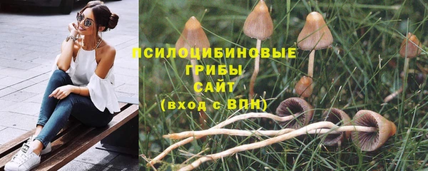 шишки Карпинск