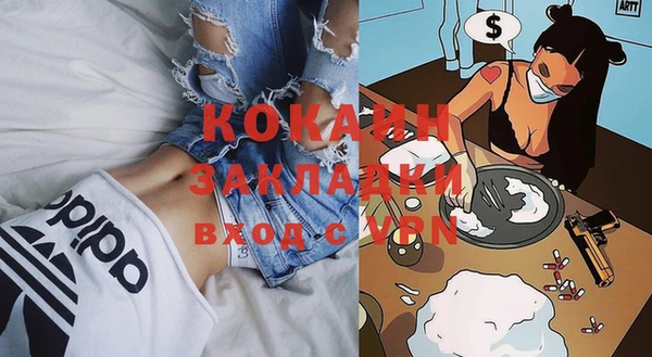 шишки Карпинск