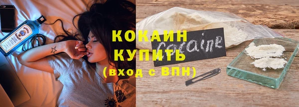 шишки Карпинск