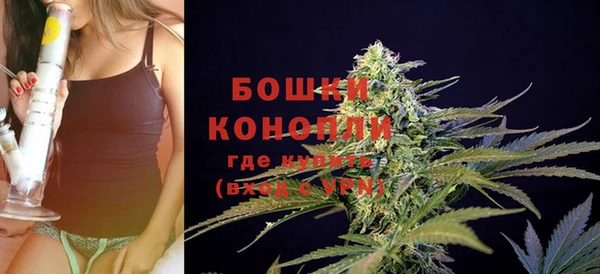 гидра Карталы
